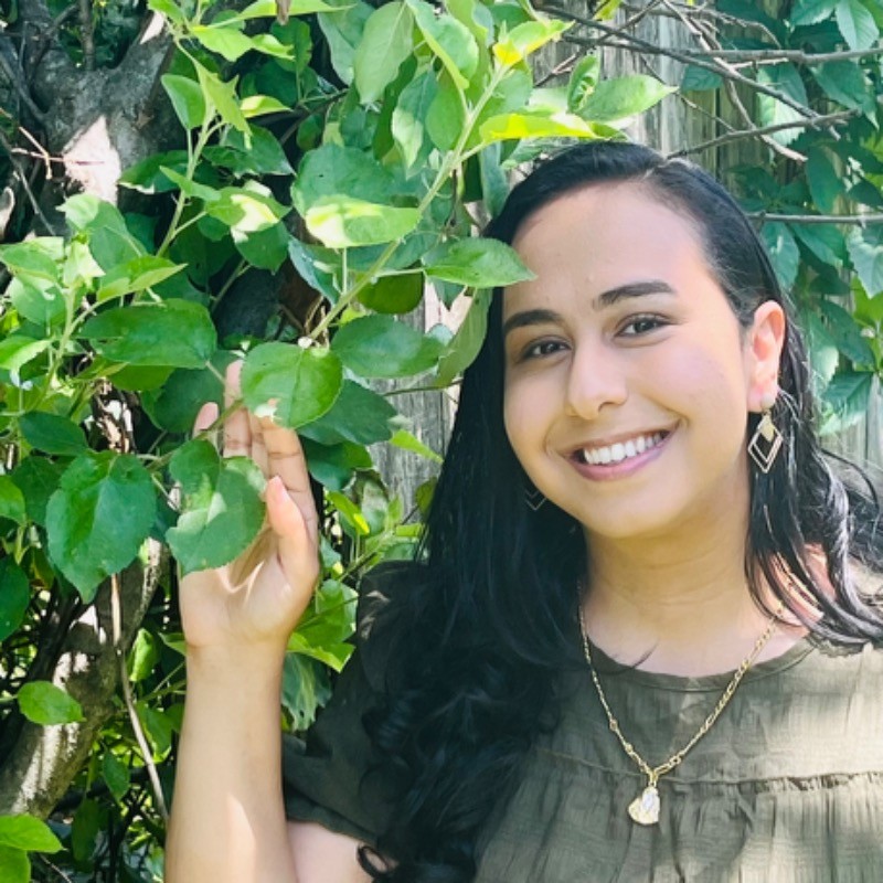 Merna ElSols